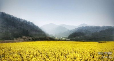 note5+snapseed出片（2）