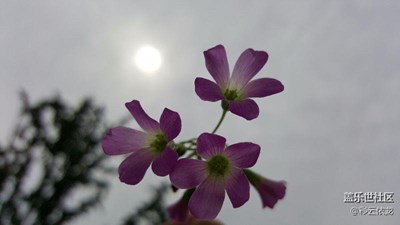 外滩