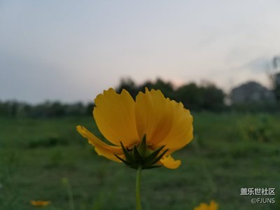 雨后文昌湖