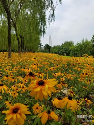 新城美景