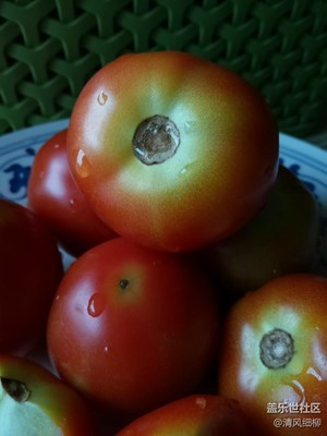 【美食环游之旅】+水果番茄+绵阳市