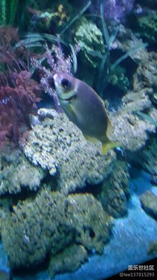海底世界
