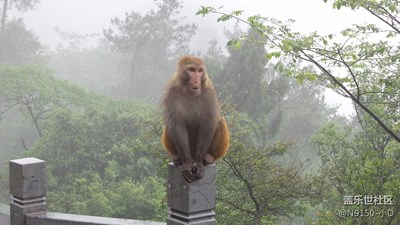 以前S4 ZOOM拍摄的作品——武陵山大裂谷之猴子堡