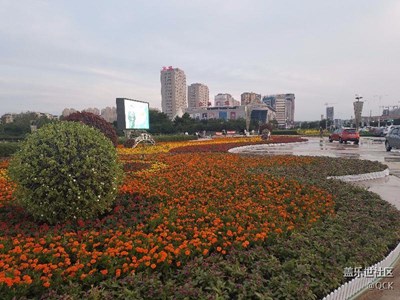 随拍