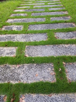 无人路过的小径