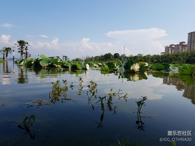 大雨淹城城更美。携S7遇见水淹得美景