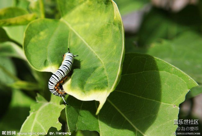 电池现在用电超级快一样 你们是吗 s7edge - 盖