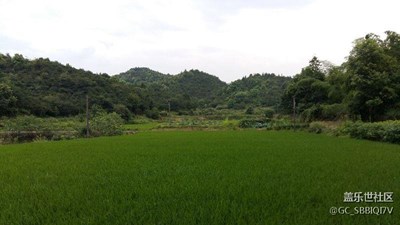 乡村