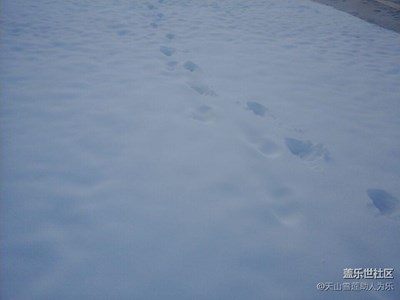 好大一场雪。