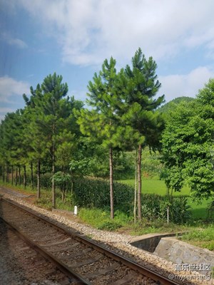 【摄影】火车飞驰，窗外一路风景
