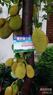 随手4
