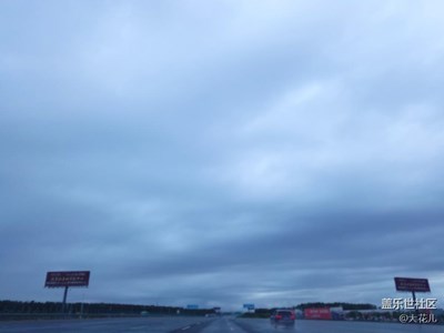 雨中随拍