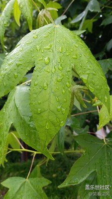 随手5
