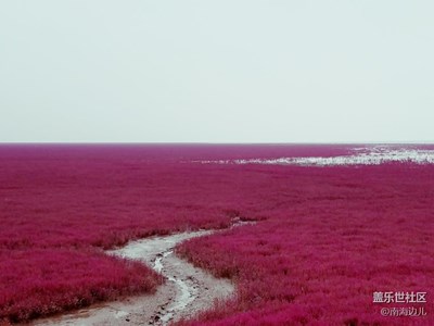 红海滩随拍