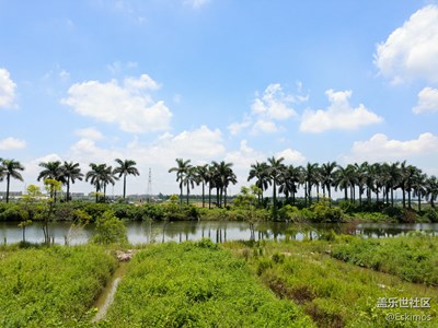 正午风景