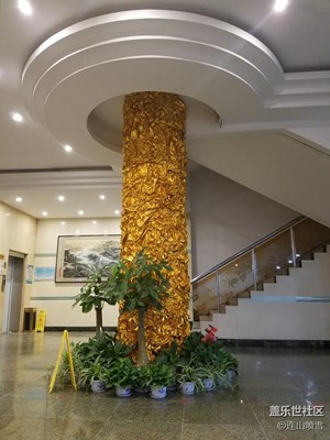 灯光下夜拍