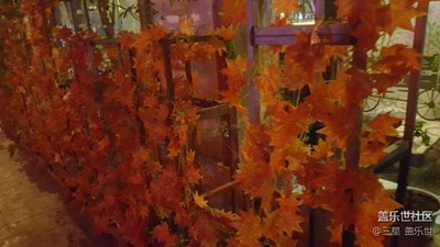 【夏夜】+南亩+假花