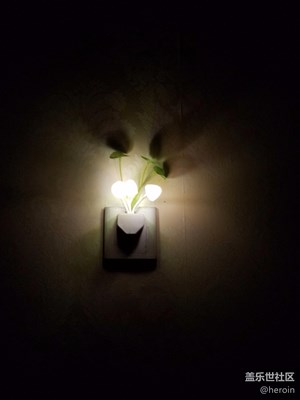 我的蘑菇灯