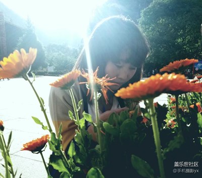 生活随拍