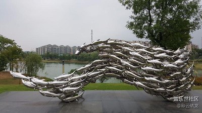波光