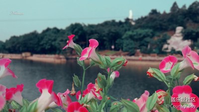 不一样的效果