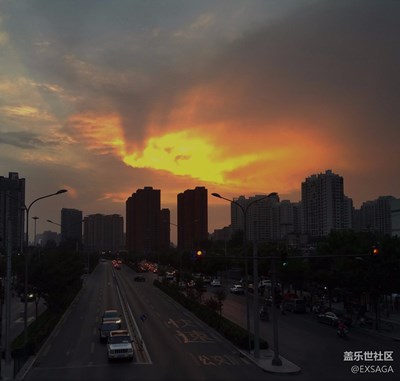 随拍之飞鸟晚霞