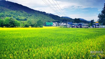 风光小景