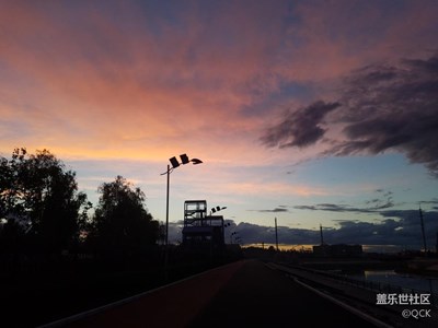 夕阳红