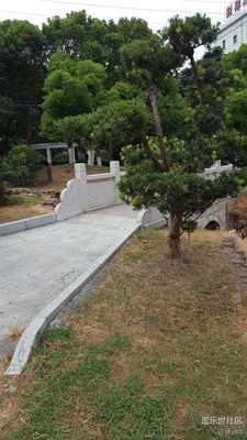 签