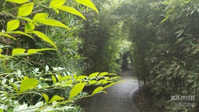 曲径通幽处