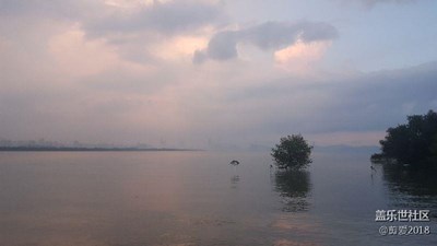 深圳湾公园一景，如梦如幻。