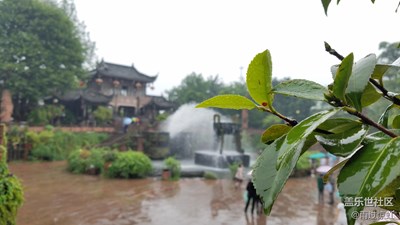雨