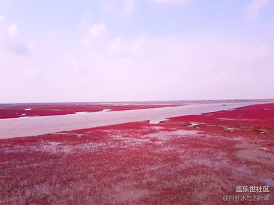 我的自驾之旅——第二站红海滩廊道（爱情宣言廊）