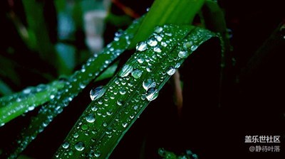 【带着手机去撒欢儿】清晨如玉丢落凡间的露珠
