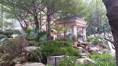 小区的冬天