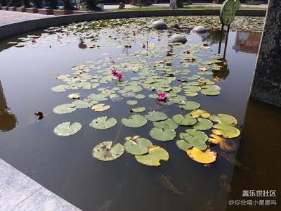 【别样国庆】+汉中+我眼中的变化