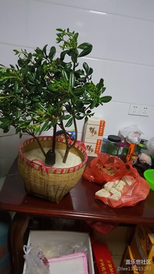 搬家