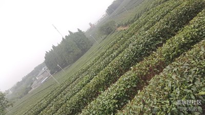 【带着手机去撒欢儿】我来到你的城市