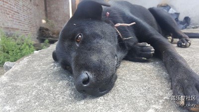 国庆+衡阳+我家的贝贝