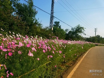 【摄影】花道