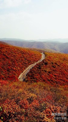 大师鉴赏求指点，