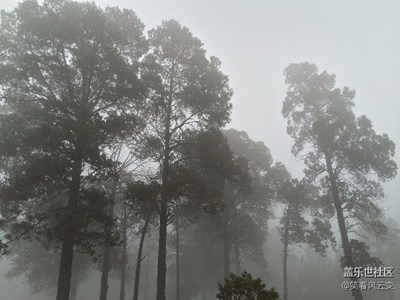 浓雾弥漫的清晨