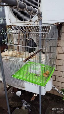 签
