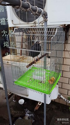 签