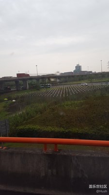 签