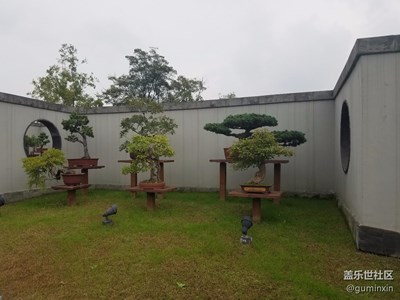 扬州瘦西湖盆景展