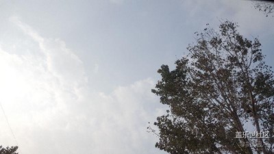 晚秋