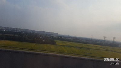 签