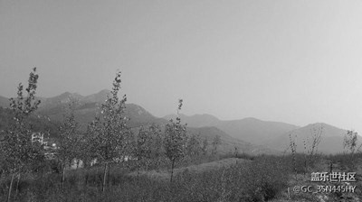 初冬,有冷意,亦有暖阳,有山如水墨,亦有红叶如血