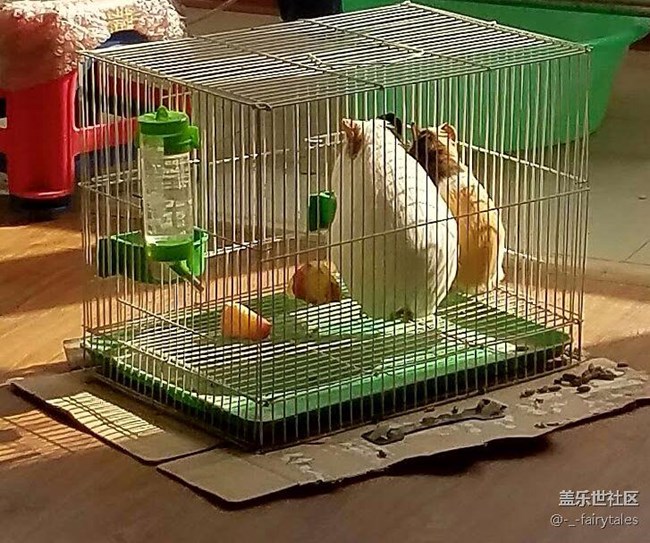 新买的内存卡，你们都是怎么把软件搬家，相册移动到内存卡的